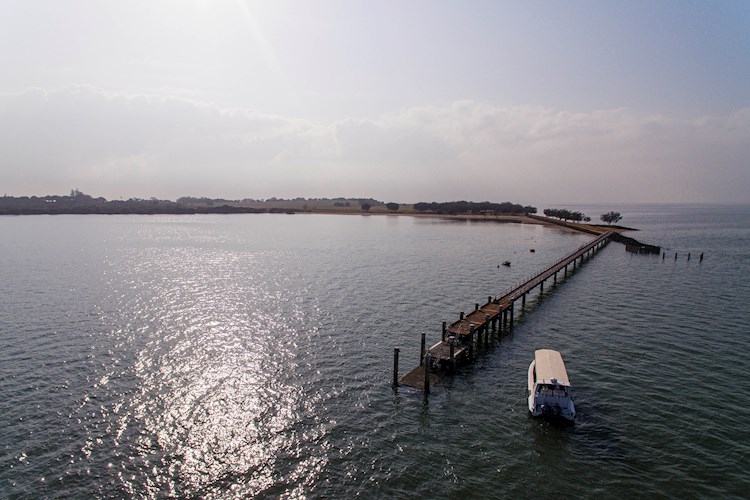 1 Day Moreton Bay Tour YHA Australia