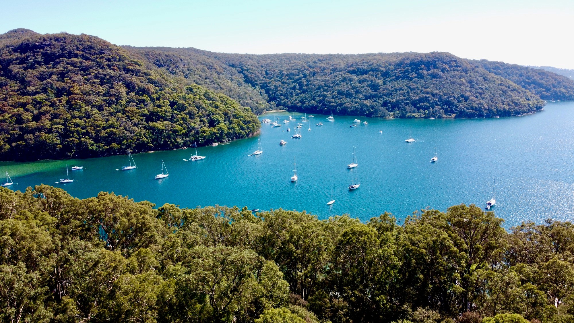 Pittwater Via Bergia-Katie 8.jpg