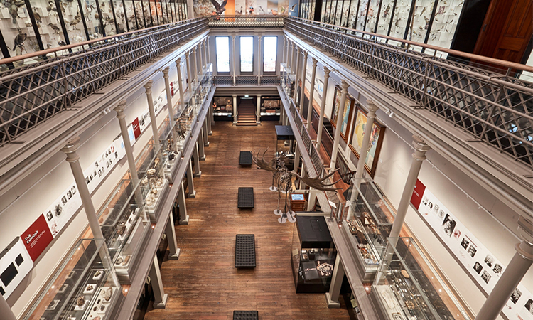 Australian Museum, Sydney