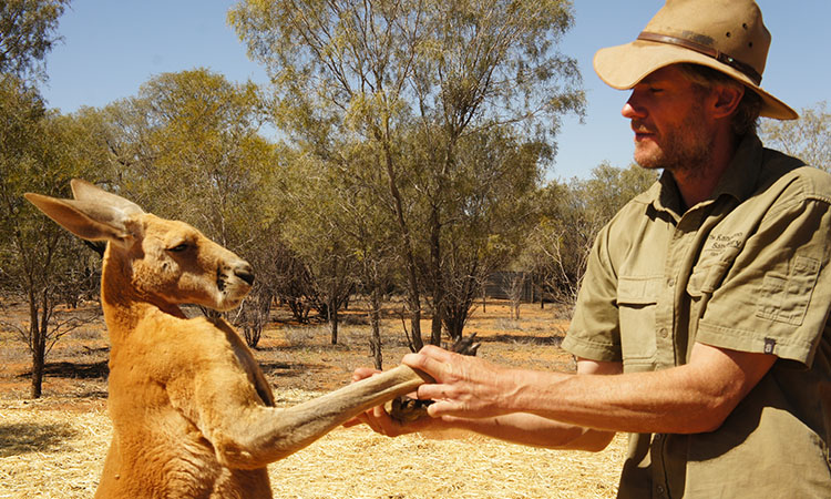Meet marsupials in Alice Springs