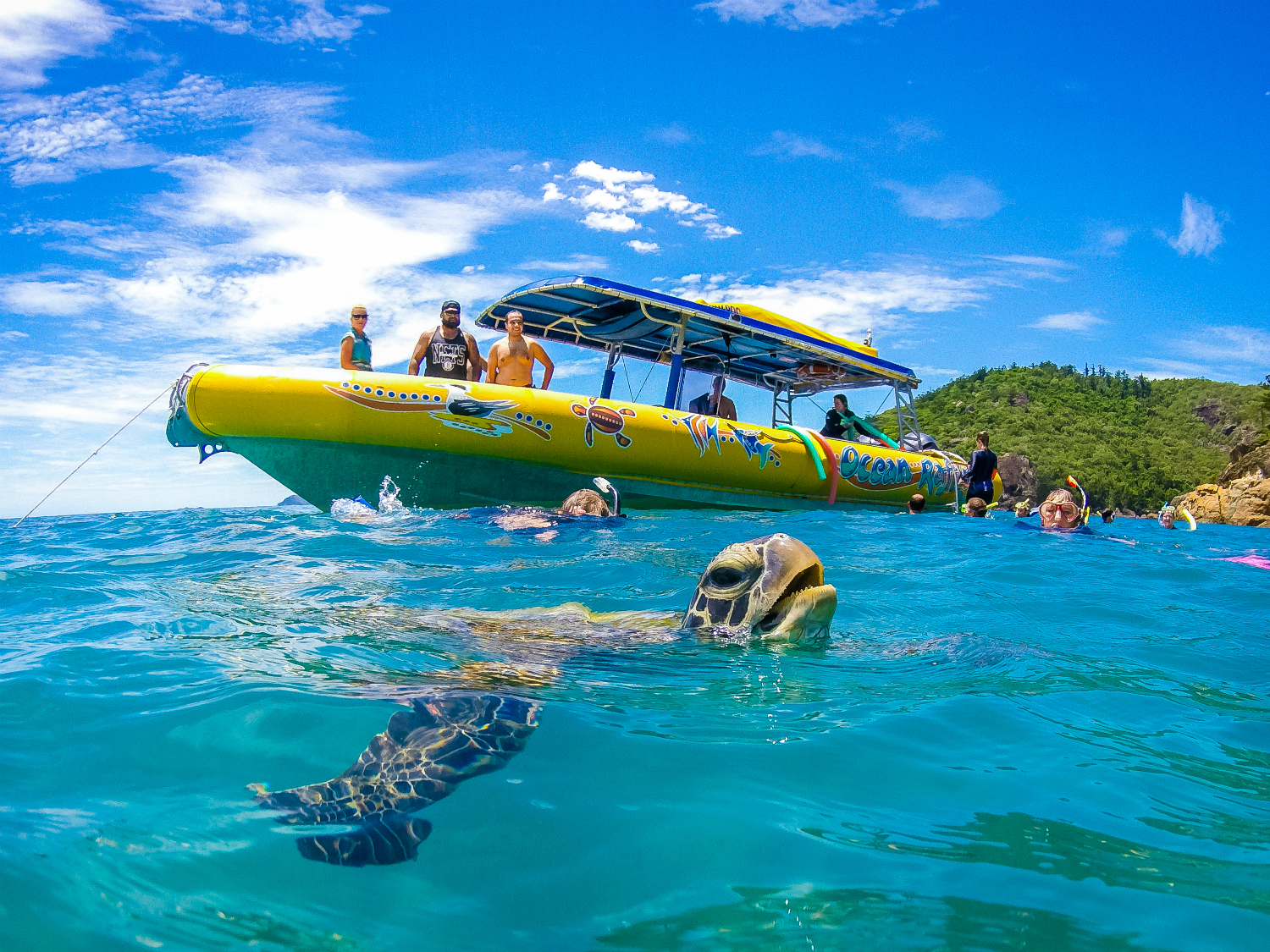 1 Day Whitsundays Tour- Meet the locals