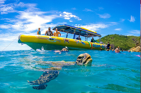 Whitsundays Whitehaven Beach Day Tour