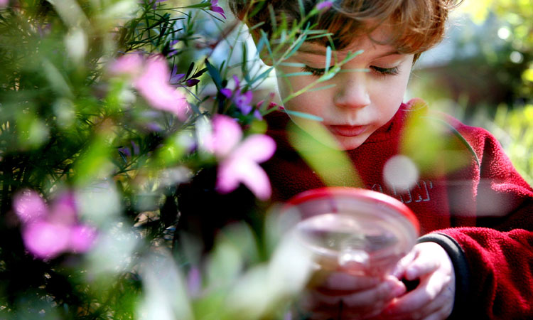 Toddler at Botanic Gardens - Image VisitCanberra