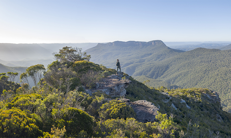Blue Mountains National Parks Blue Mountains National Parks