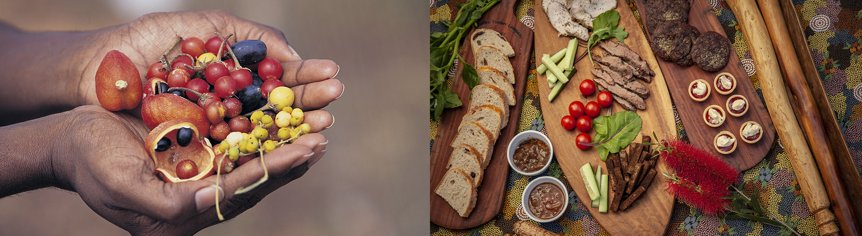 Foodie Banner Indigenous.jpg