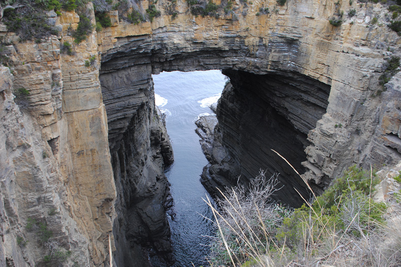 TasmanArch_UDU_Tassie5.jpg