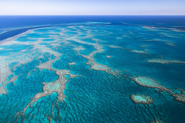 Whitsundays Scenic Flight- The Reef