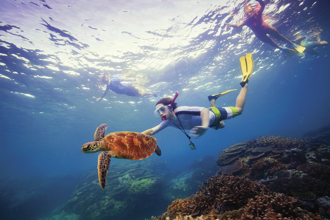 Great Barrier Reef_snorkelling_credit Tourism Australia_644152-19.jpg