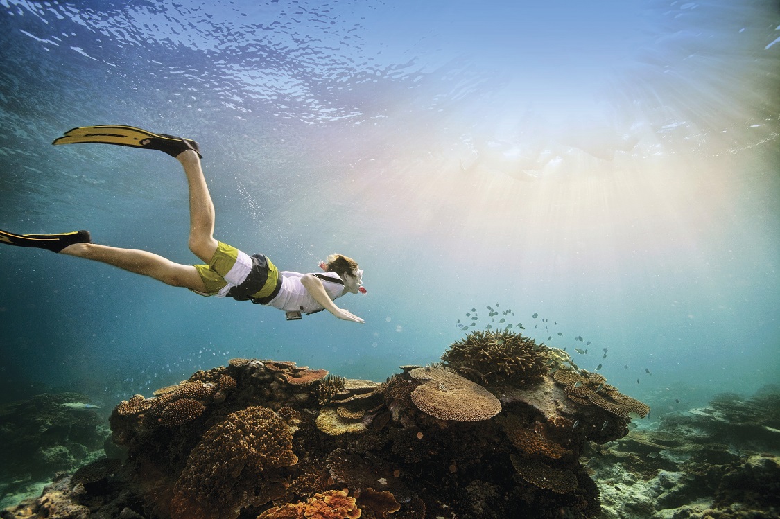 Great Barrier Reef_snorkelling_credit Tourism Australia_644153-19.jpg