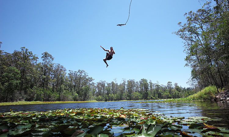 Best Hikes in Brisbane - Enoggera Dam