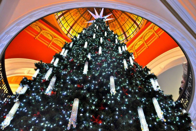 QVB tree credit Flickr.jpg