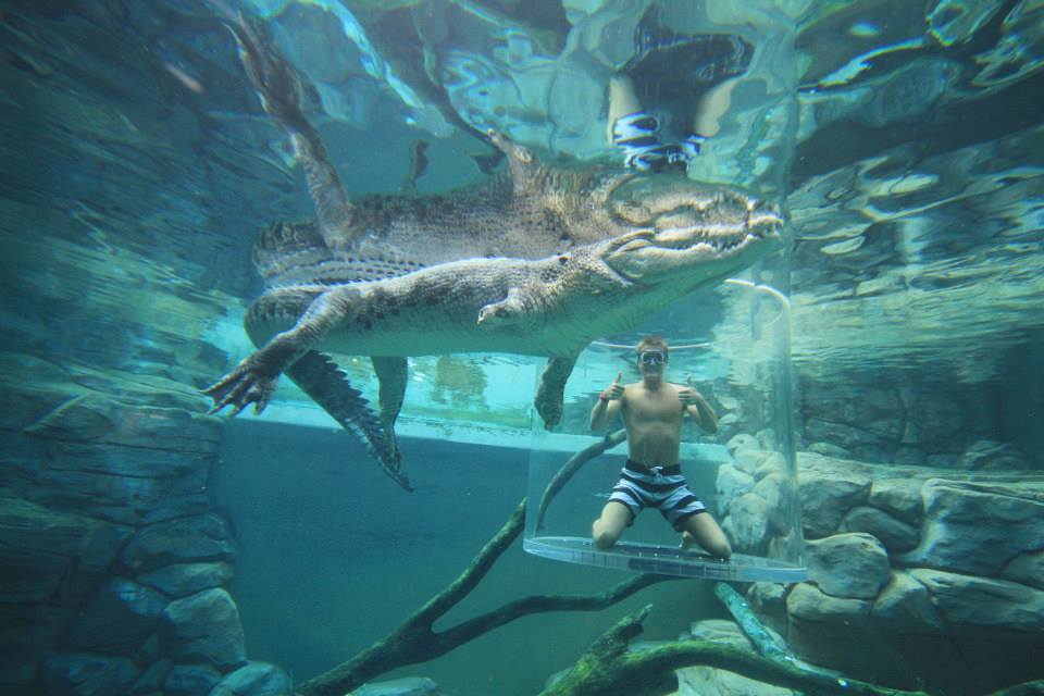 cage of Death_ crocosaurus cove