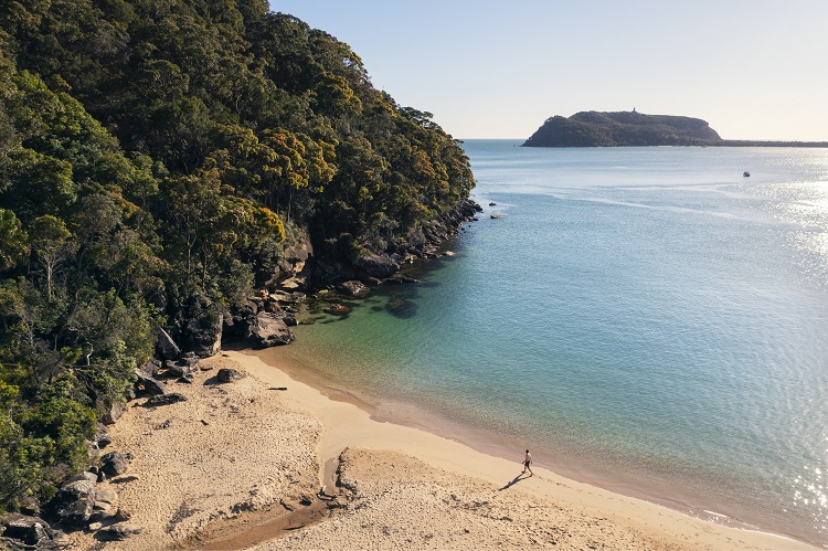 Resolute Beach-Ku-ring-gai Chase National Park_CREDIT_Destination NSW.jpg