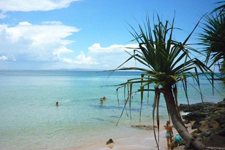 Discover Queensland's Best Hidden Beaches tile image