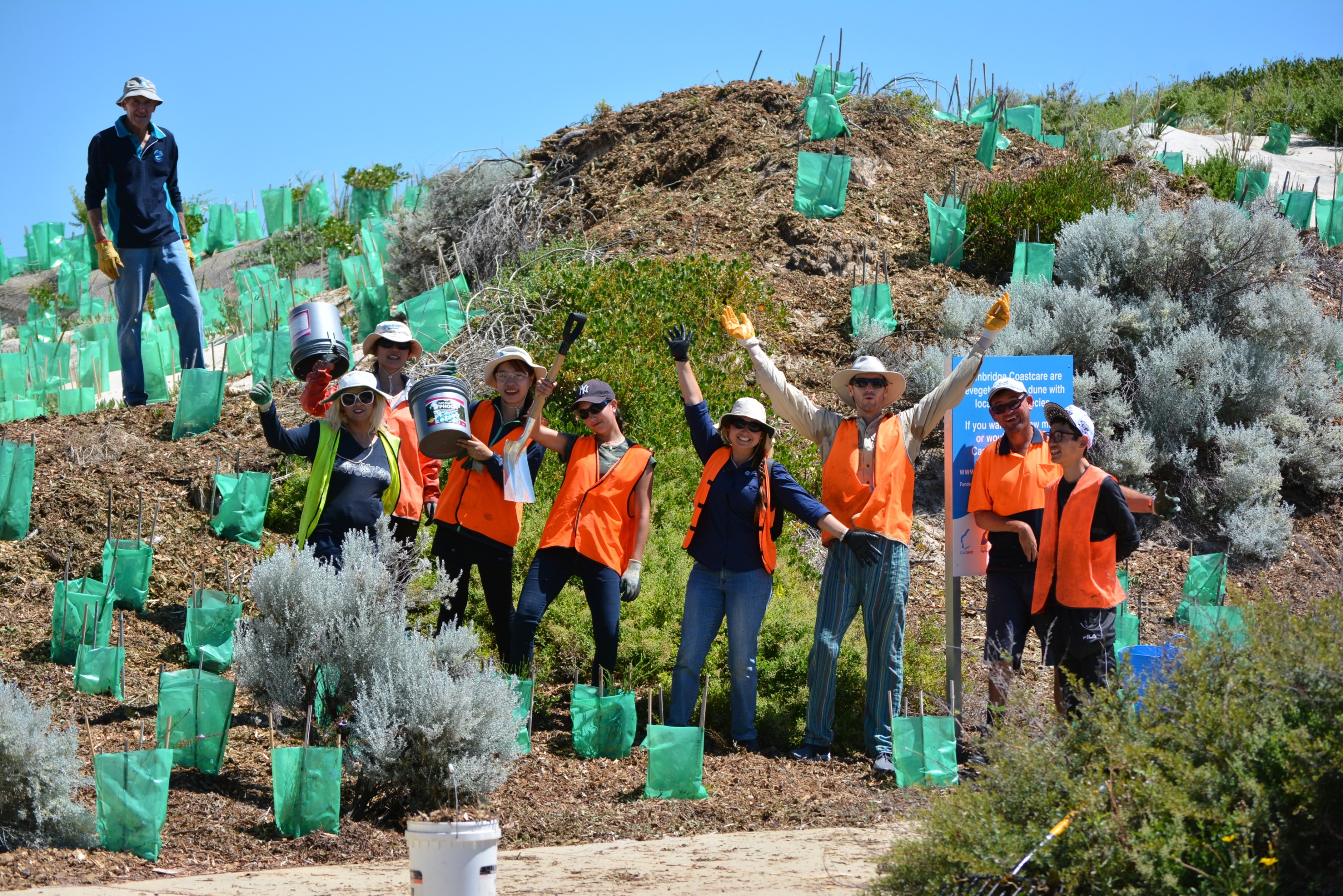 Conservation Volunteers 3.jpg