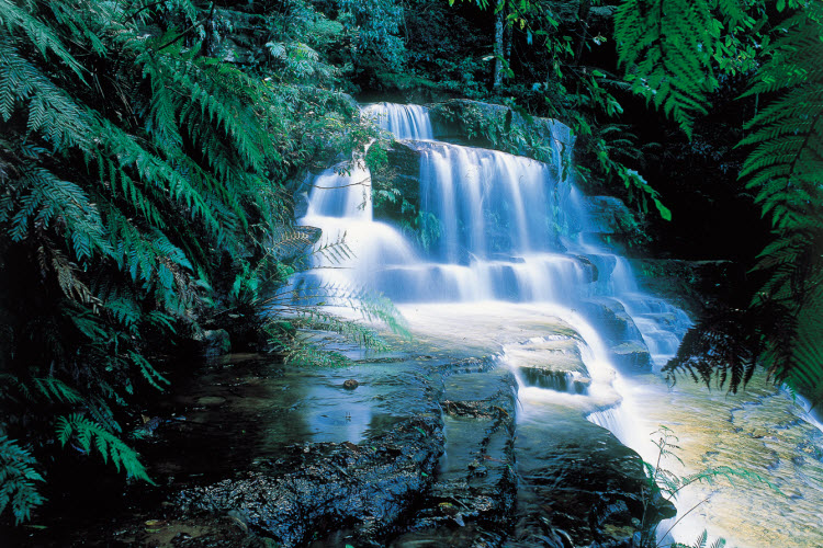 Leura Cascades