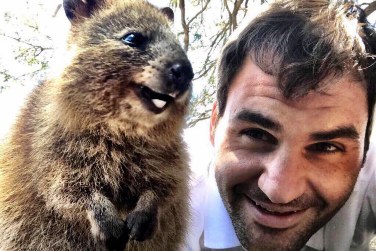 Roger Federer quokka selfie credit Instagram
