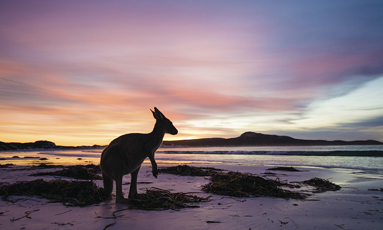 Lucky Bay near Esperance YHA