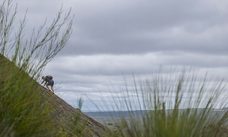 Mount Chudalup - Pemberton YHA