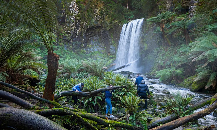 Hopetoun Falls near Apollo Bay Eco YHA