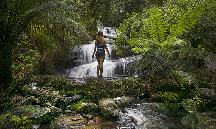 Triplet Falls near Apollo Bay Eco YHA