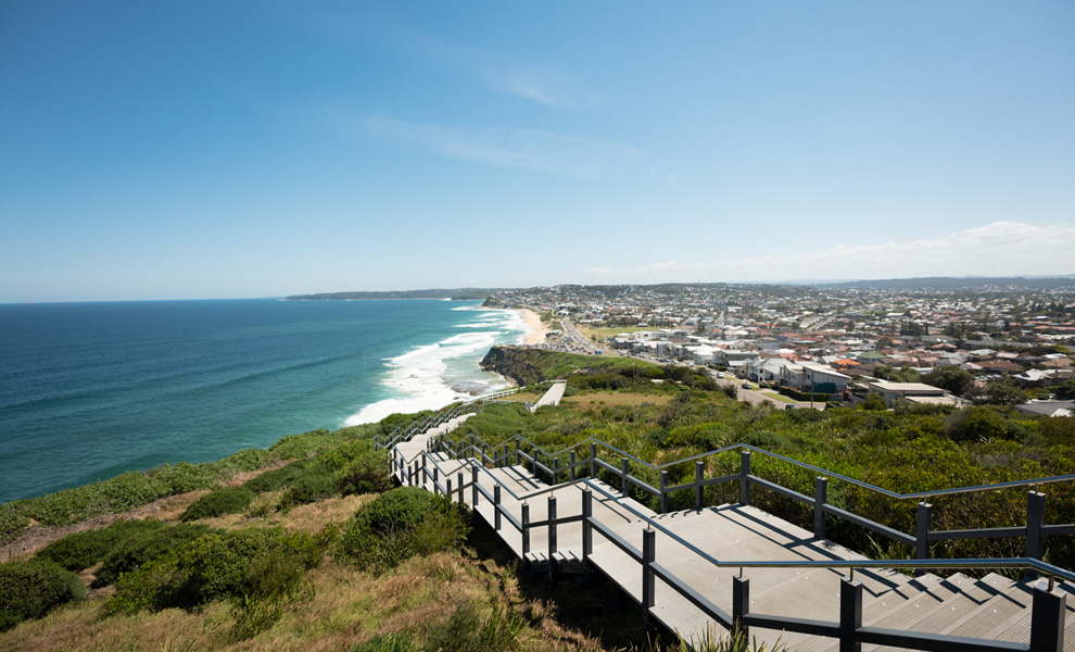 990x600_WhaleWatching_Newcastle.jpg