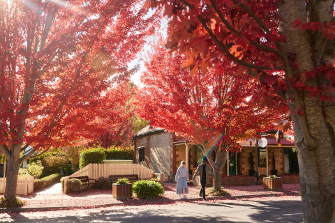 Germany on your mind? Adelaide has it all