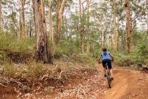 Best mountain biking trails in Western Australia