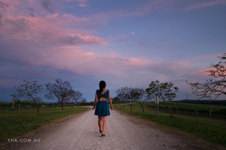 Hunter Valley YHA - Vineyards