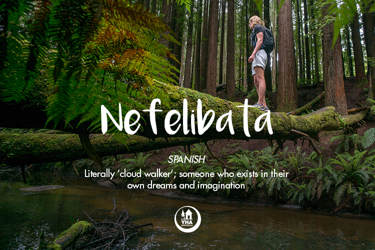 Nefelibata