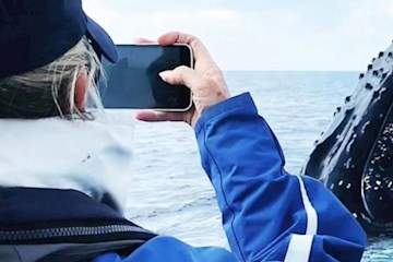 Byron Bay Whale Watching Cruise tile image