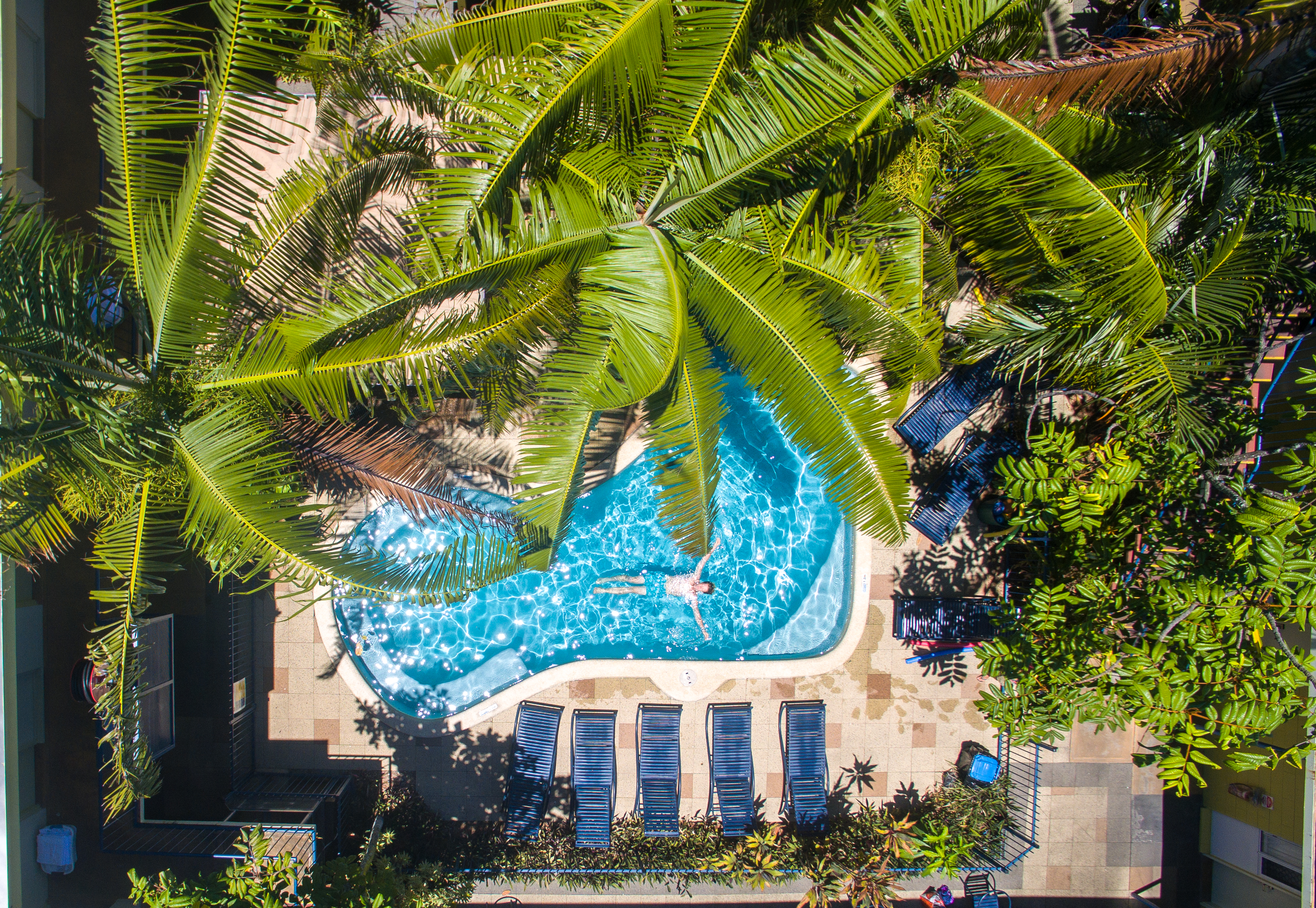 Cairns Central YHA pool and outdoor area (1).jpg