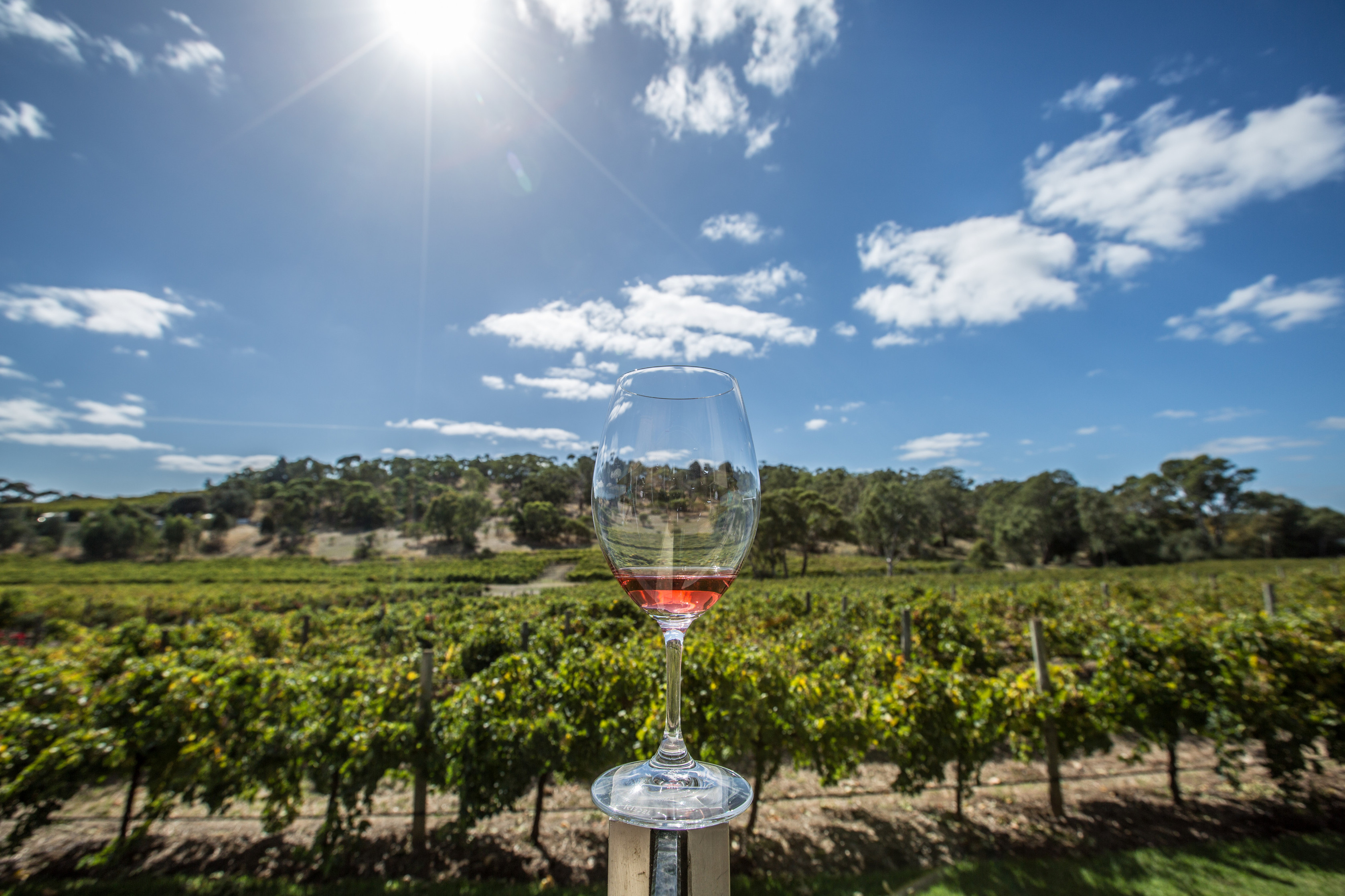 McLaren Vale. Photo Credit: Greg Snell- Tourism Australia 