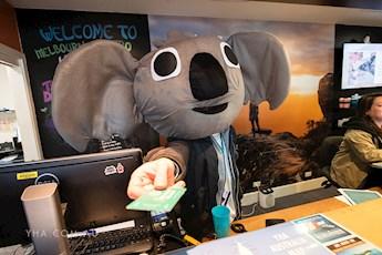 Melbourne Metro YHA tile image)