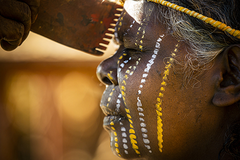 Tiwi Islands Aboriginal Cultural Day Tour