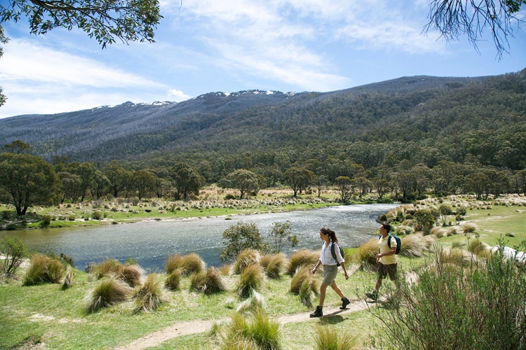SYD-MEL_Roadtrip_KosciuszkoNationalPark_CREDIT_DestinationNSW.jpg