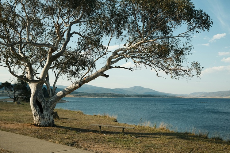 SYD-MEL_Roadtrip_LakeJindabyne.jpg