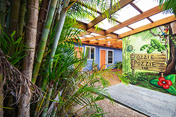 YHA Port Macquarie | Ozzie Pozzie Backpackers tile image