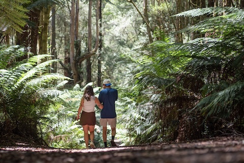 Why Apollo Bay needs more than a day | We Are Explorers