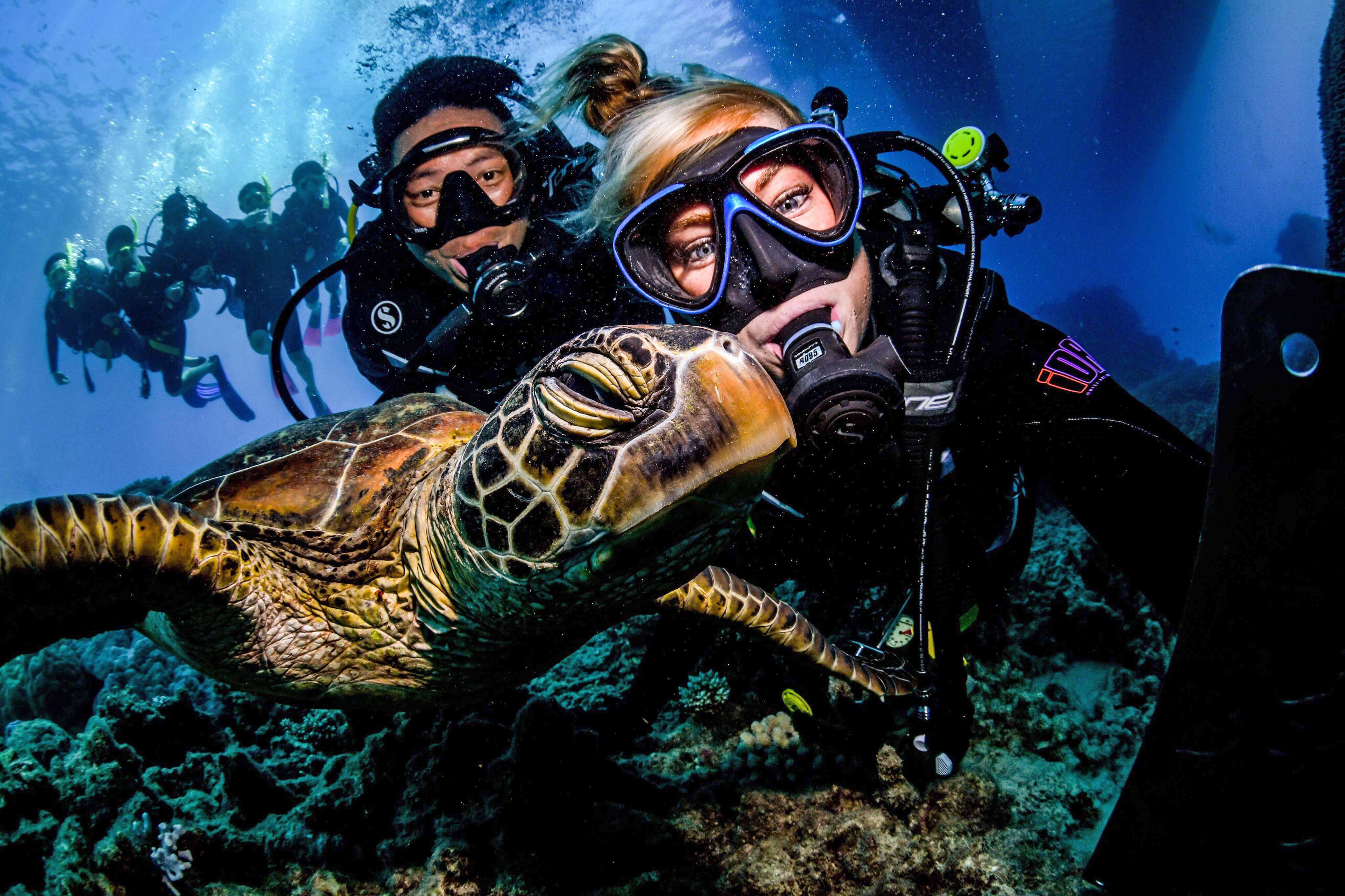 1 Day Scenic Flight and Great Barrier Reef Tour- Turtle Selfie