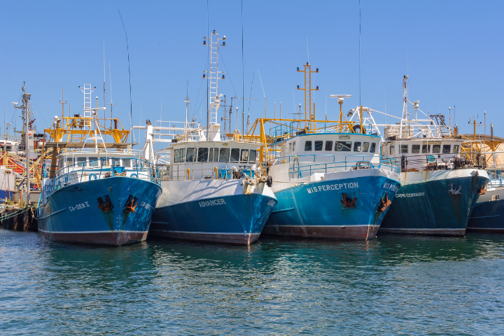 Article Image specs (13).png