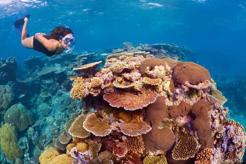 Premium Great Barrier Reef Cruise to 3 Reef Locations