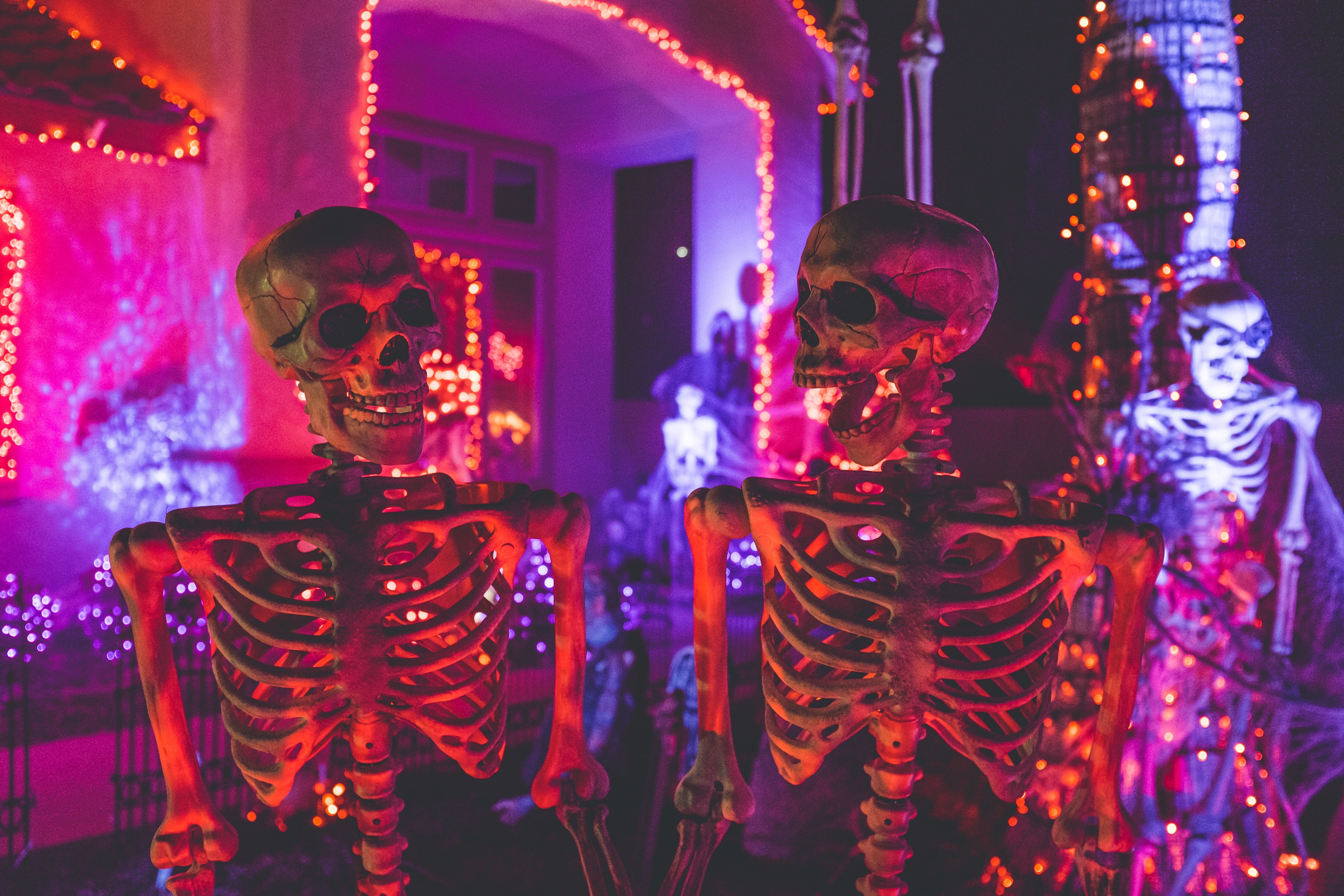 Halloween Skeletons_unsplash no credit needed.jpg