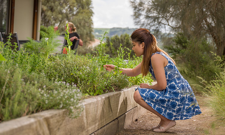 Apollo Bay YHA Herb Garden - plastic free july