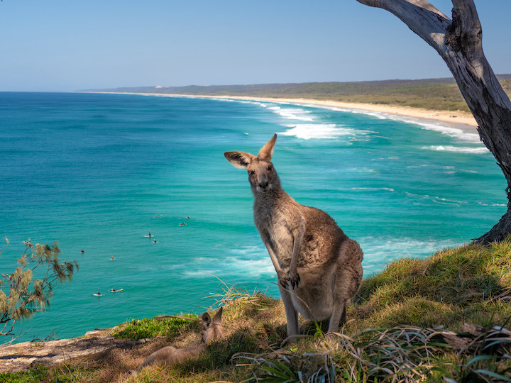 Why you should visit North Stradbroke Island