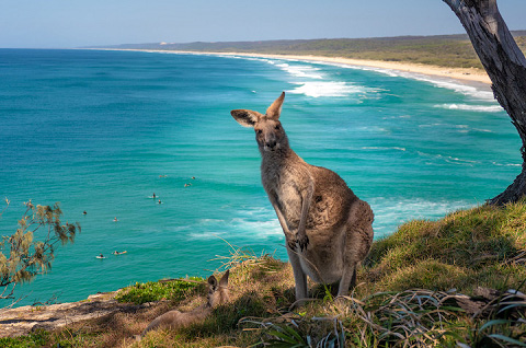 Why you should visit North Stradbroke Island