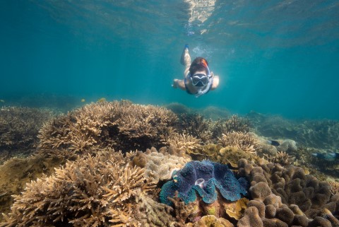 Best diving and snorkelling spots in Australia