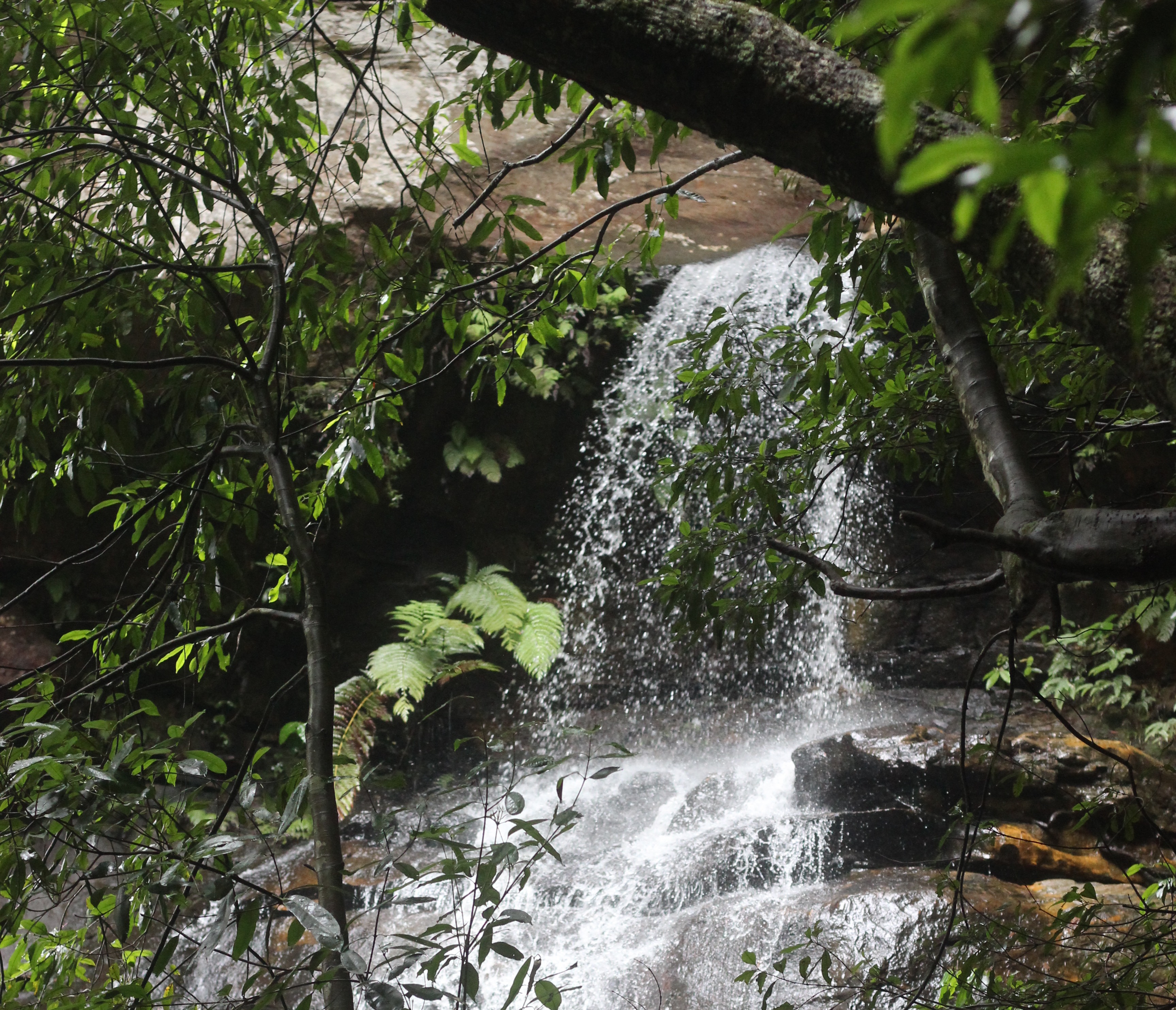 Blue Mountains Family Getaway