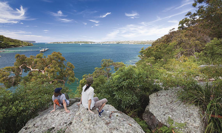 Spit to Manly Walk 