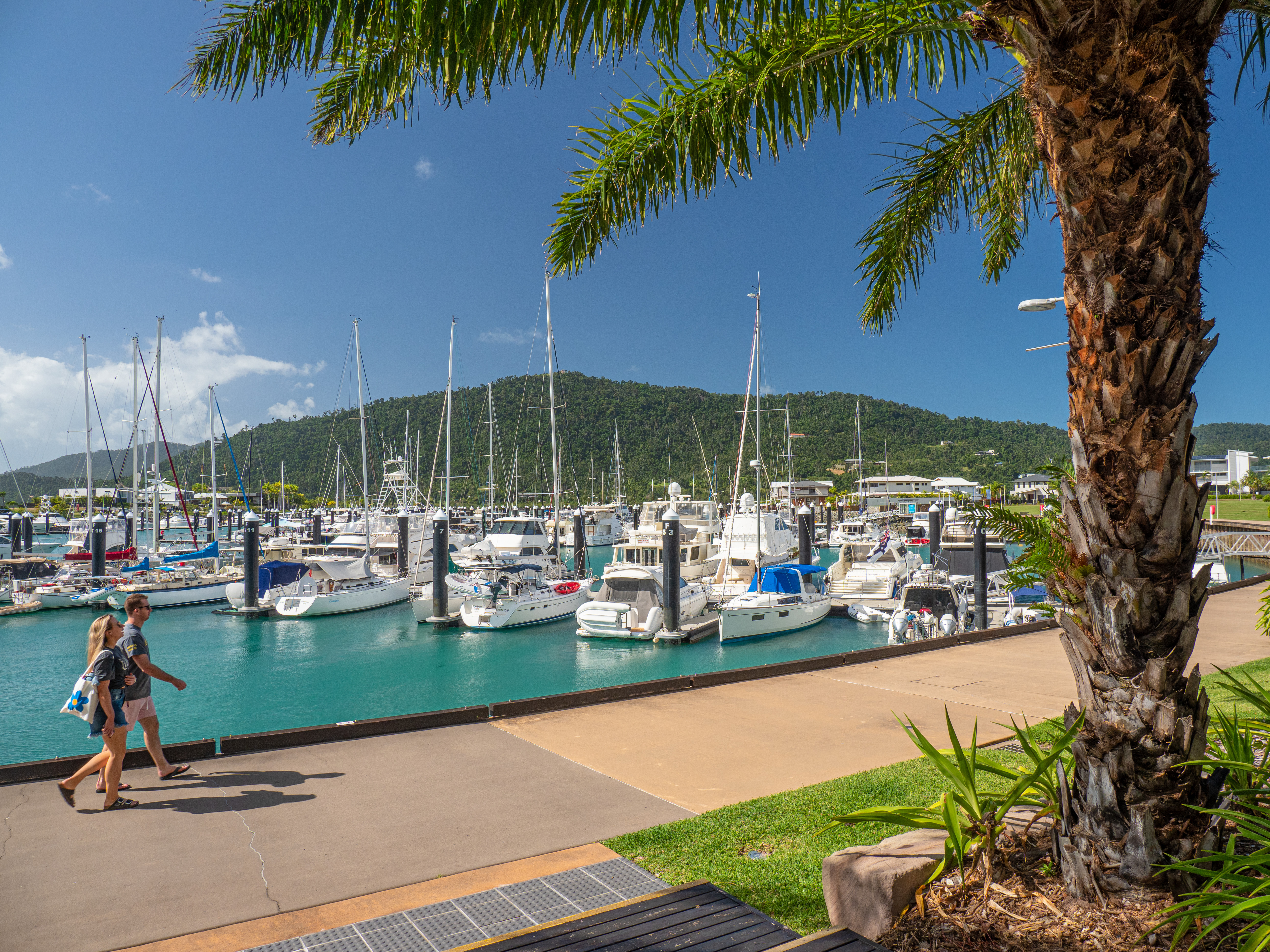 Coral Sea Marina_CREDIT_TEQ.jpg